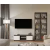 RTV 120 MALWA ANTHRACITE/Valge