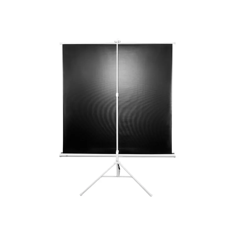 Statiiviga projitseerimisekraan Elite Screens T85NWS1 2,16 m (85 tolli) 1:1