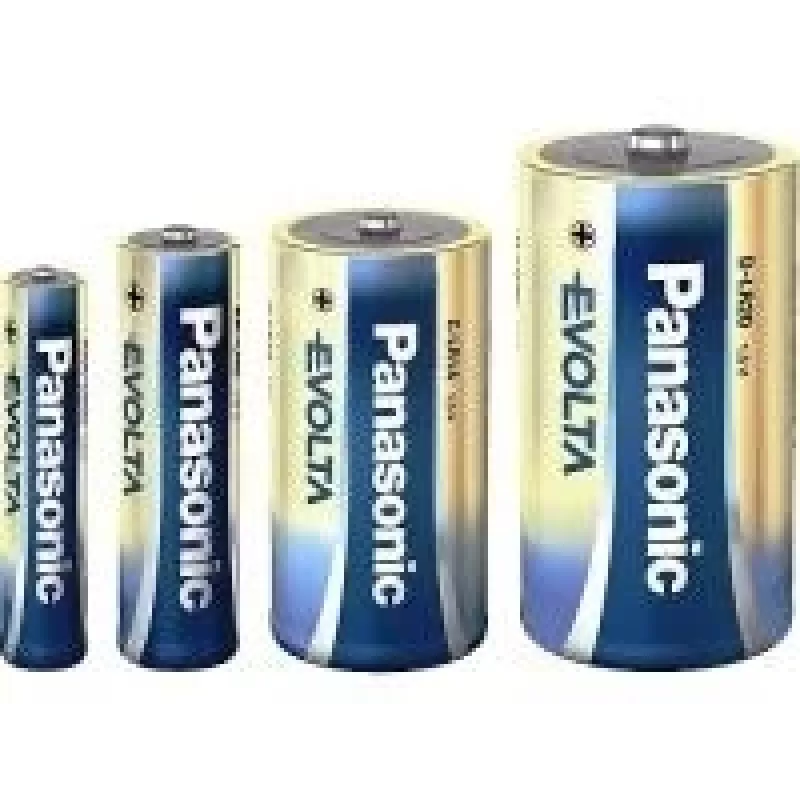 Panasonic Evolta Platinum LR20EE/2BP - Patarei 2 x D leelispatarei (LR20EGE/2BP)
