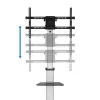 TV/monitorialus, 37-86 tolli, max 50 kg