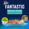 Märg kassitoit Purina Nestlé FELIX Fantastic kalamaitsed — tuunikala, lõhe, tursk, lest, 12×85 g kotikesed