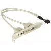 Slotklamber 1x sisemine USB 5pin -> 2x väline USB2.0 DeLOCK 71000