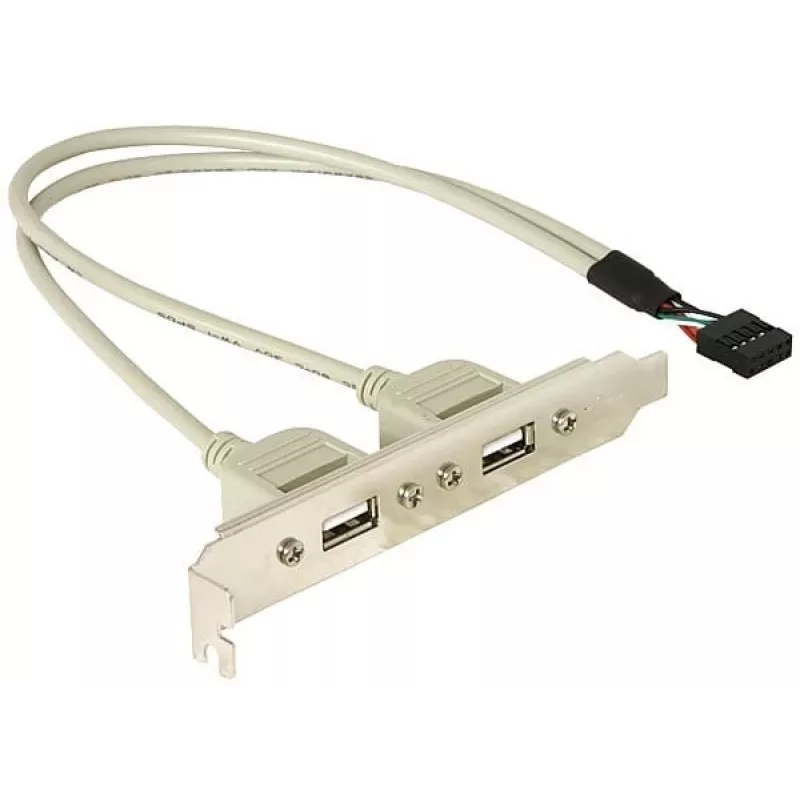 Slotklamber 1x sisemine USB 5pin -> 2x väline USB2.0 DeLOCK 71000