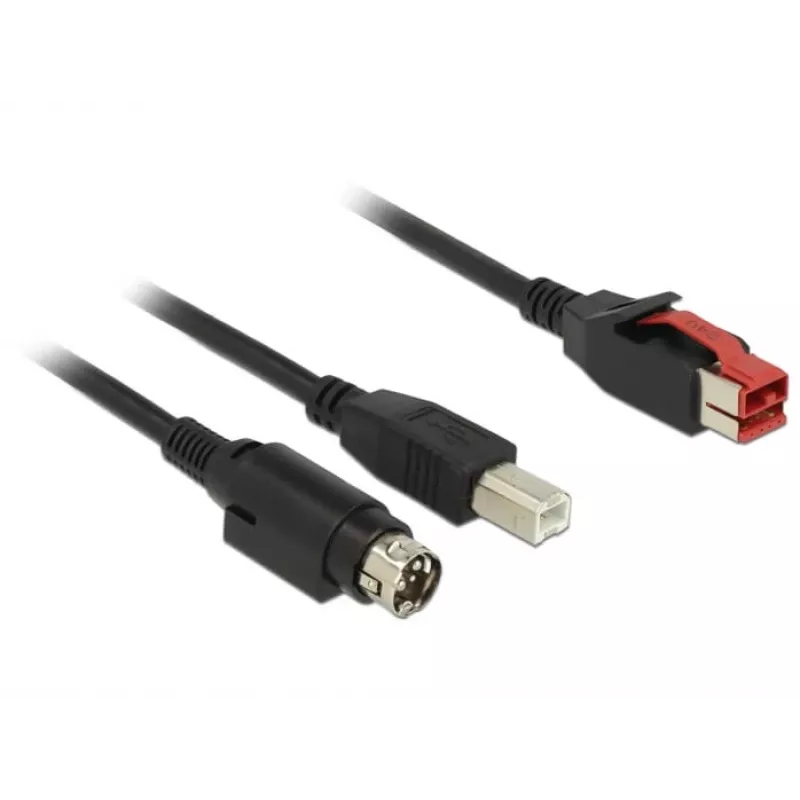 USB-kaabel DeLOCK 85489 USB 2.0 3 m USB B must