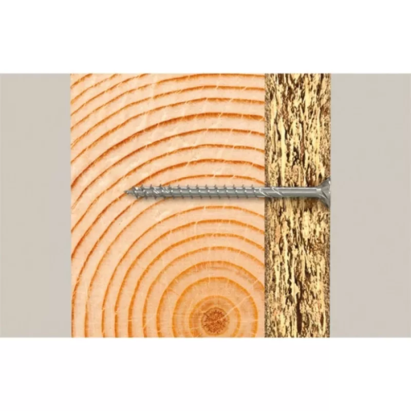 Fischer 670505