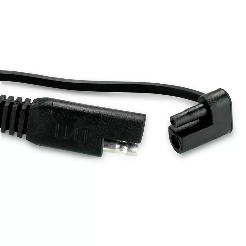 Autoakulaadija everActive CBC1 6V/12V