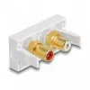 DeLOCK Easy 45 pistikupesa 2 x RCA Valge ABS