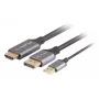 Lanberg CA-HDDP-20CU-0018-BK videokaabli adapter 1.8 m DisplayPort HDMI + USB must, hõbedane
