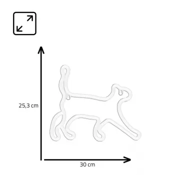 Neoon-stiilis dekoratiivvalgusti MANTA SNL70WH Style Neon Lights CAT 2 Valge 70 cm