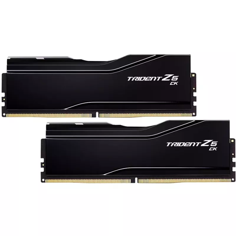 G.skill F5-8400C4052G24GX2-TZ5CK mälumoodul 48