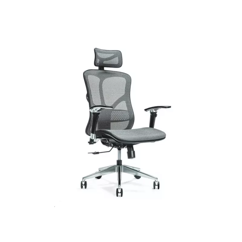 Ergonoomiline kontoritool ERGO 500 hall