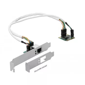 DeLOCK Mini PCIe I/O PCIe poolsuurus 1 x Gigabit LAN madalprofiiliga - võrguadapter - PCIe Half Mini Card - Gigabit Ethernet x 1 (95265)