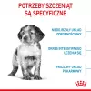 Kuiv koeratoit Royal Canin Medium Puppy 15 kg — keskmist tõugu kutsikatele, kanamaitse, 32% valku, 20% rasva
