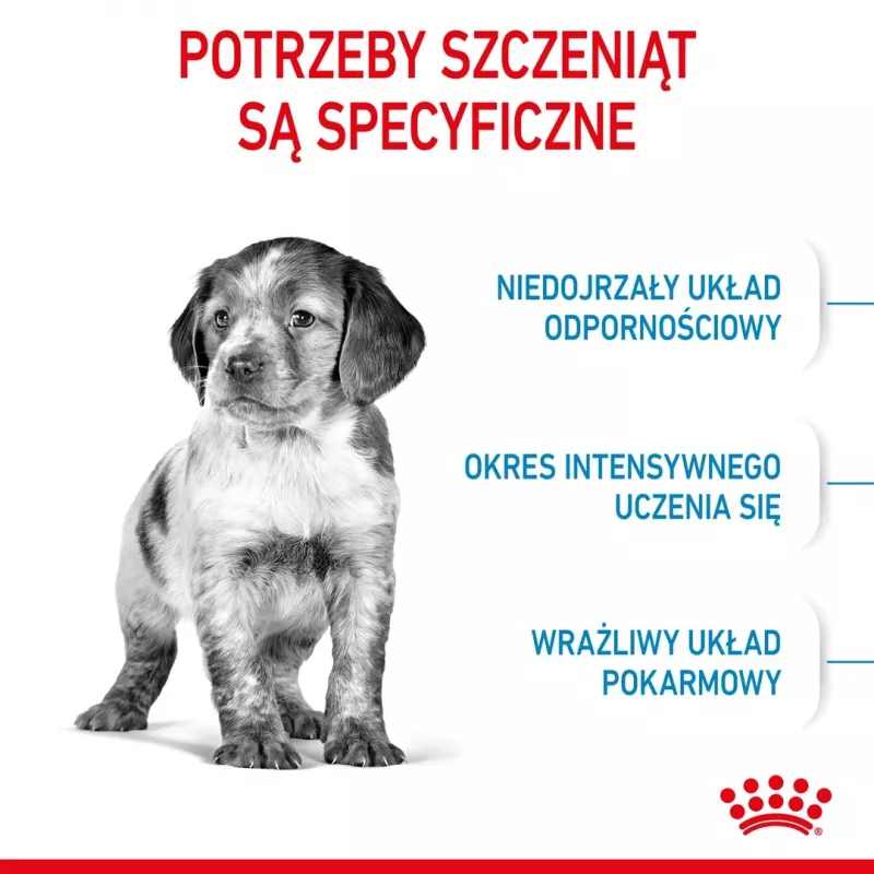 Kuiv koeratoit Royal Canin Medium Puppy 15 kg — keskmist tõugu kutsikatele, kanamaitse, 32% valku, 20% rasva