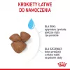 Kuiv koeratoit Royal Canin Starter Mother & Babydog 1 kg — Kana, 30% valku, 22% rasva