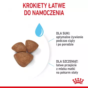 Kuiv koeratoit Royal Canin Starter Mother & Babydog 1 kg — Kana, 30% valku, 22% rasva