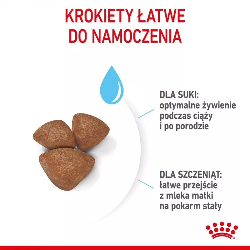 Kuiv koeratoit Royal Canin Starter Mother & Babydog 1 kg — Kana, 30% valku, 22% rasva