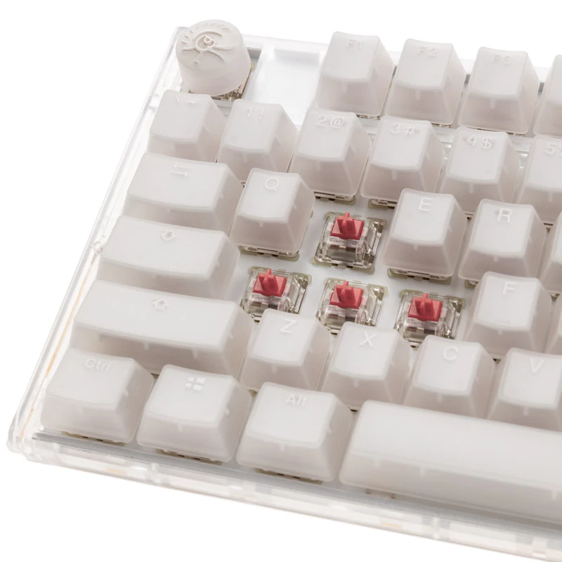 Ducky One 3 RGB klaviatuur mängimiseks USB QWERTY US English valge