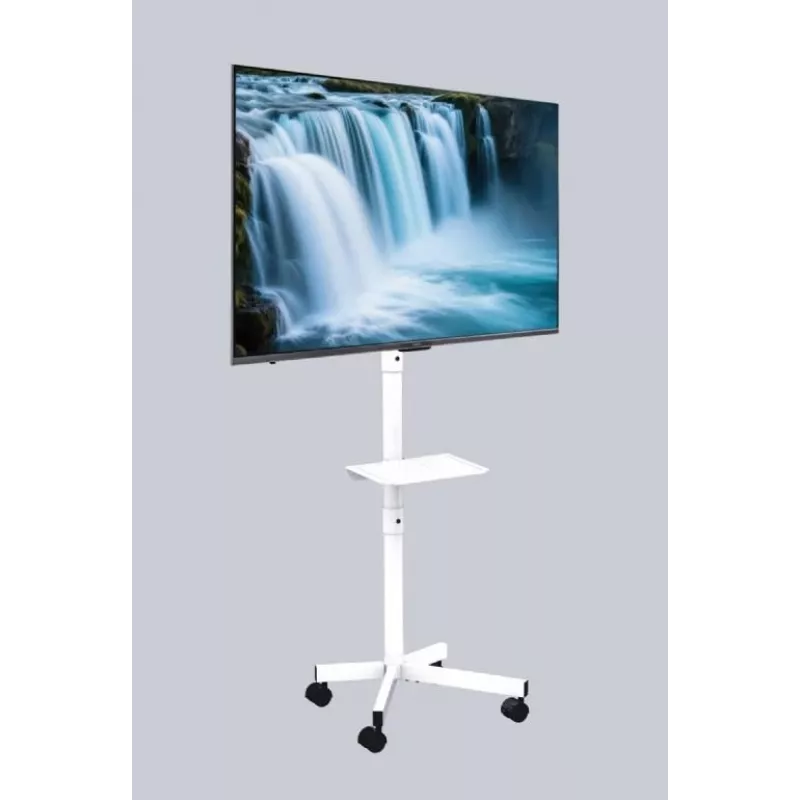 Gembirdi põrandale paigaldatav telerialus ratastega 32-tolliste kuni 55-tolliste telerite jaoks, valge, VESA 100x100–400x400, 30 kg