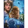 Pusle Harry Potter Hogwartsis (500 tükki)