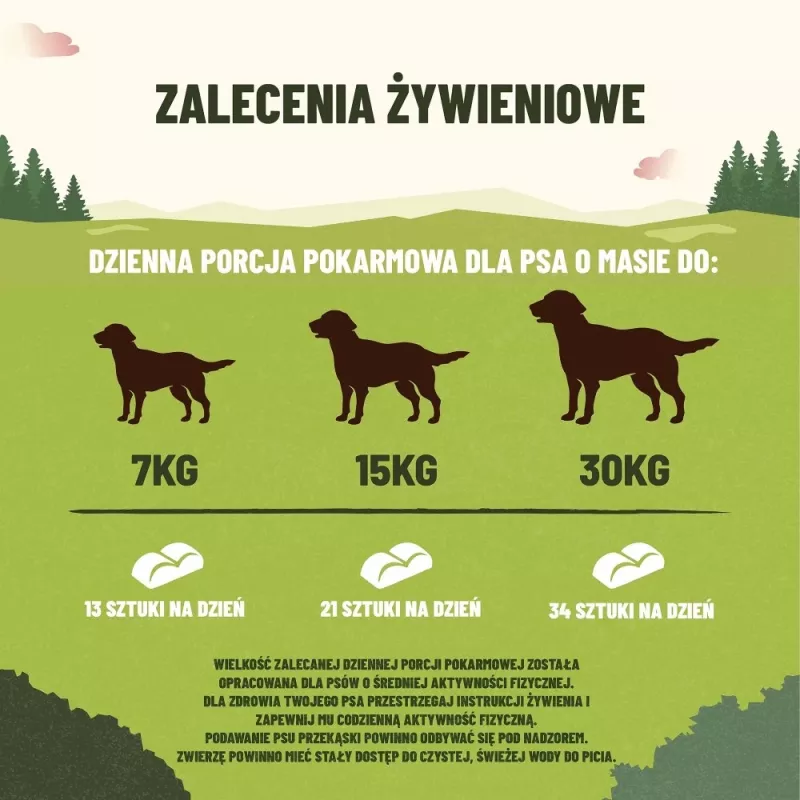 PURINA Adventuros Training lõhe - koeramaius - 40g