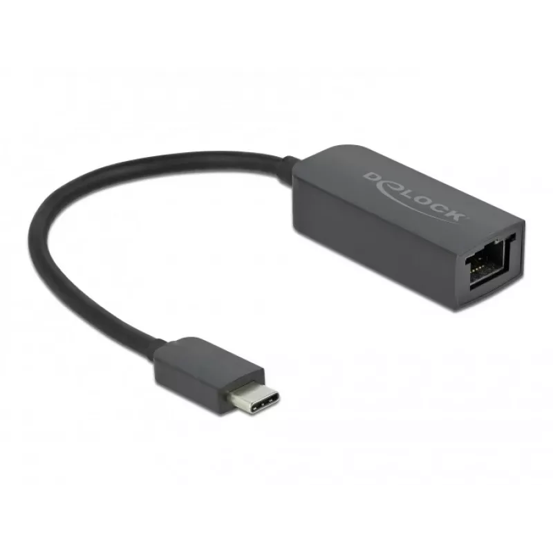 Adapter USB USB-C isane 2,5 Gigabit LAN kompaktne DeLOCK 66645
