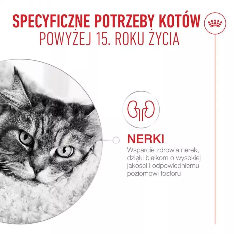 ROYAL CANIN Ageing 15+ - kuiv kassitoit - 4kg