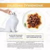 GOURMET Gold Sauce Delight Beef - märg kassitoit - 85 g