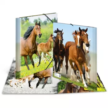 Folder HERMA 7140 Polypropylene (PP) Multicolour A4