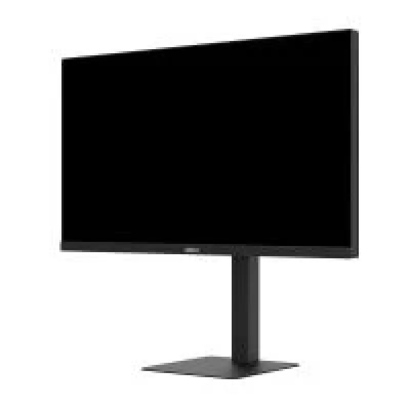 Dahua Technology arvutimonitor LM25-E241A 24.5 tolli (62.2 cm) Full HD 1920×1080 IPS LCD VESA, kõrgusreguleeritav, must