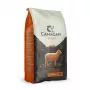 Canagan kuiv koeratoit G-F Lamb 2kg