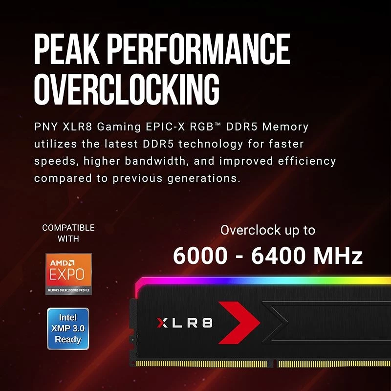 Mälu PNY DDR5 32GB 5600 BULK
