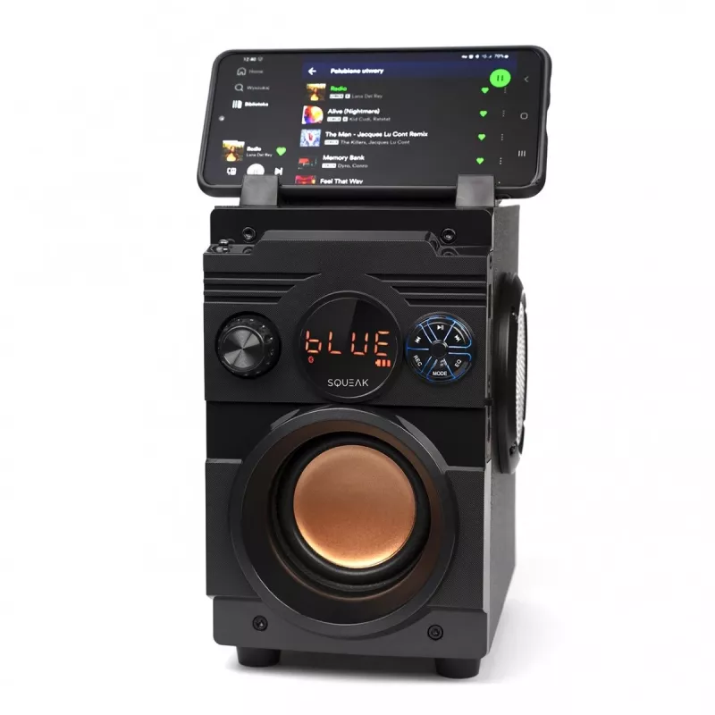 Squeak Bassblaster Bluetooth 5.1 kõlar, FM-raadio, MP3-mängija SQ1001