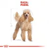 Kuiv koeratoit Royal Canin Poodle Adult 1,5 kg — kana, 30% valku, 19% rasva