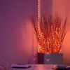 LED vanik Twinkly TWD200STP-TEU mitmevärviline siseriba, 5 cm vahedega, IP20, läbipaistev kaabel