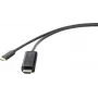 Renkforce RF-4531590 kaabliadapter USB-C HDMI Must (RF-4531590)