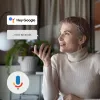 Teleri lisaseade Stick Google TV 4K/145 Thomson