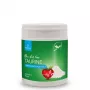 POKUSA RawDietLine Taurine – tauriini toidulisand koertele ja kassidele, 150 g