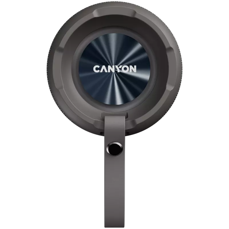 Canyon CNE-CBTSP15BG kaasaskantav kõlar beež