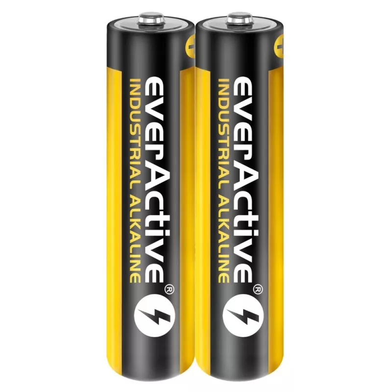 Ühekordne leelispatarei everActive EVLR03S2IK AAA 1,5 V, 40 tk, 5-aastane säilivusaeg