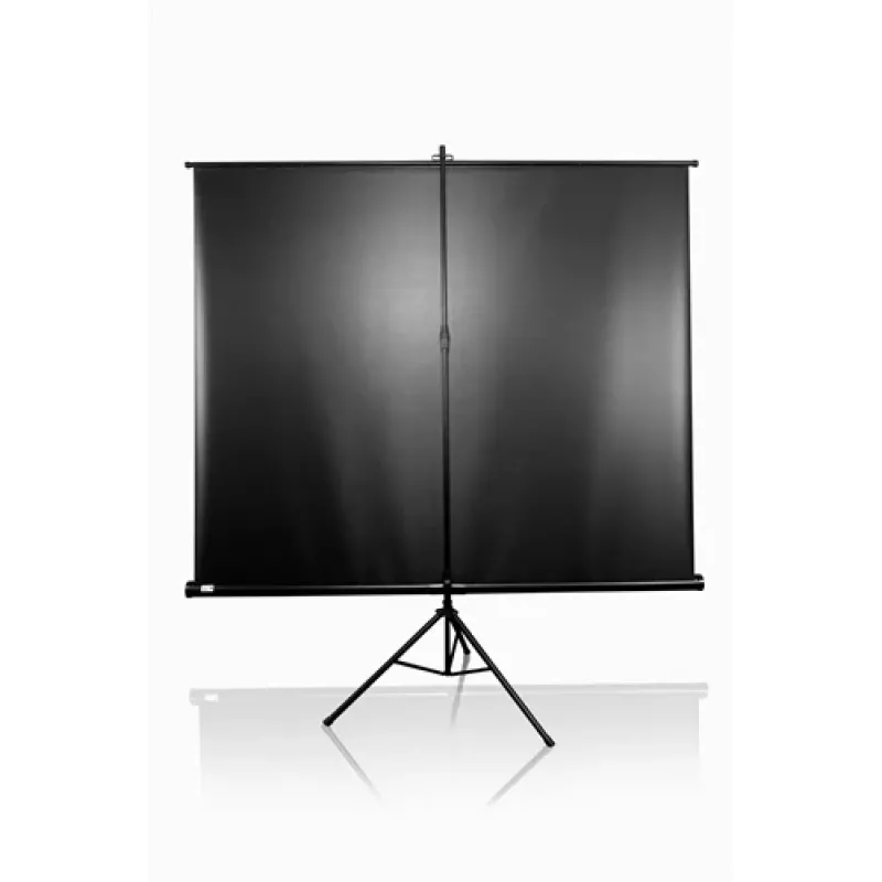 Elite Screens | Statiiviga/Kaasaskantav Ülestõmmatav Projektoriekraan | T92UWH | Diagonaal 92 tolli | 16:9 | Vaadeldav ekraani laius (W) 203,2 cm | Must