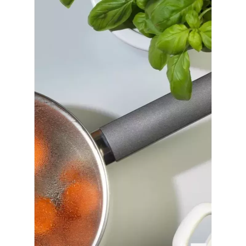 Kastrul Russell Hobbs RH01164EU7 20 cm roostevaba teras, induktsiooniga ühilduv, kaanega