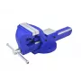 Töökoda kruustangid AWTools 1003456, fikseeritud tööstuslik kruustangid, 6 tolli (150 mm) lõualaius