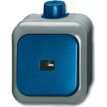 BUSCH JAEGER 2621 WDI - 1P - Roheline - Hall - 250 V - 74 mm - 54 mm - 80 mm