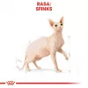 Kuiv kassitoit Royal Canin Sphynx Adult 2 kg — sealiha maitse, 33% valku, 23% rasva