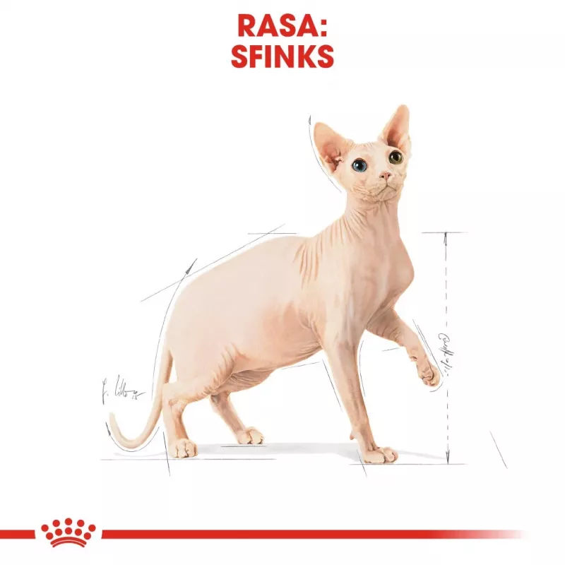 Kuiv kassitoit Royal Canin Sphynx Adult 2 kg — sealiha maitse, 33% valku, 23% rasva