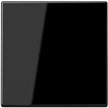 JUNG LS1700SW LS1700SW juhtnupp Standard (LS1700SW)