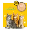 3COTY Kana kassipoegadele - märg kassitoit - 80g