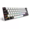 Sharkoon SGK50 S4 klaviatuur Kodu USB QWERTZ Saksa Valge RGB LED 60%