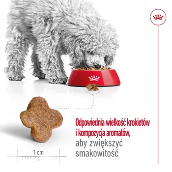 Kuiv koeratoit Royal Canin Mini Adult 8+ 2 kg — väikesed tõud 5–10 kg, linnuliha, kehakaalu kontrolli valem